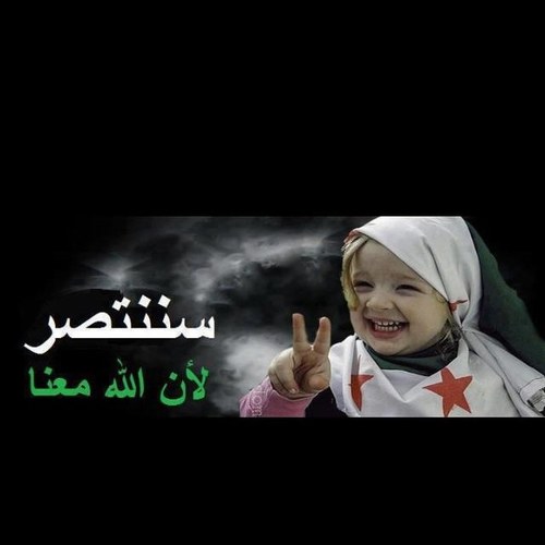 q81231234's profile picture. 