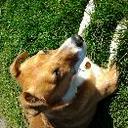 jay craig - @motogpjay - Twitter