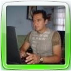 Asesor y programador analista en Sistemas Computacionales. Sistemas en programas de FileMaker...