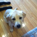 Gary buck - @Addbucks1 - Twitter