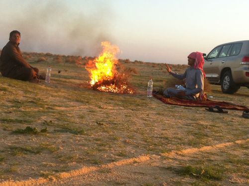 vx_17S's profile picture. 