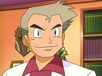 Profesor pokemon. Pokeflautista. Prometido con bulbasur. Me invento pokemons en mi tiempo libre.