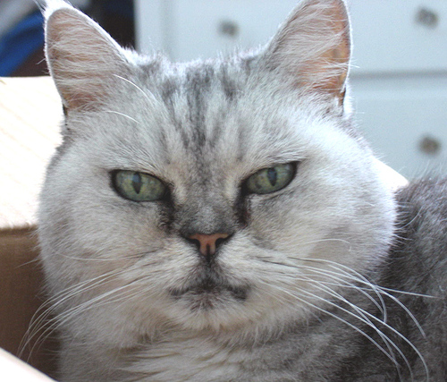 maschultz's profile picture. Interaction Design, User Research, Foodie, Wineaux, Hedonist