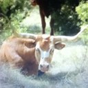 Ethan heilig - @EthanHeilig - Twitter