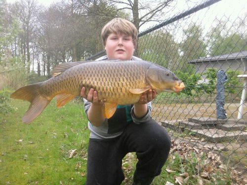 15 years old, h2c LS, angler, psv, haat aan frans leraressen,school zuigt