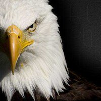 Yusnas (@nebulaxy) 's Twitter Profile