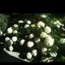 Beth Fischer - @beth_fischer - Twitter