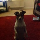 glyn smith - @thebigorg - Twitter