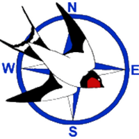 BirdObs Council GB&I (@birdobs_council) 's Twitter Profile