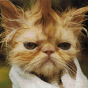 Jeff Blauser - @jsblauser - Twitter