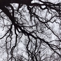 Sasha Hails (@hailssasha) 's Twitter Profile