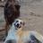 Terreno_PV's profile image