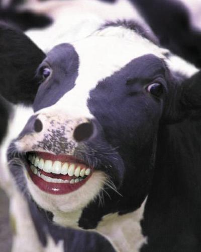 La Gran Vaca