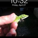 gaven smith - @socker00 - Twitter