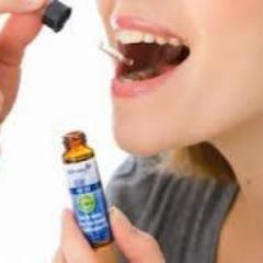 FloresDeBach_'s profile picture. #TerapiaFloral un verdadero encuentro con el alma, #TuEquilibrio #TuArmonía. Tus consultas a msol.terapias@gmail.com