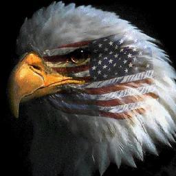 LibRT4All's profile picture. 