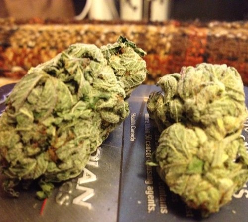 just sit and take a hit while i show ya the shit i can spit, the smoke from my toke will make ya choke like its a joke!
