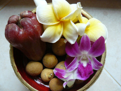 BriVerdegaal's profile picture. 