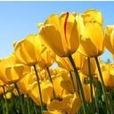 Hailey Shore - @HaileyShore123 - Twitter