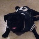 Michael Satz - @msatz4 - Twitter