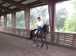 VP Instruction United States Pony Club