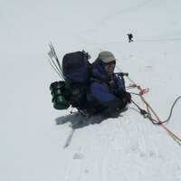 Mike Greenhalf (@mikegreenhalf) 's Twitter Profile