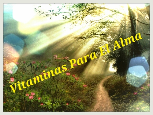 El Alma necesita Vitaminas. No soy un experto pero tengo dos grandes Guías Jesus y Maria!