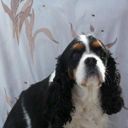 AndrewPurvis10's profile picture. 