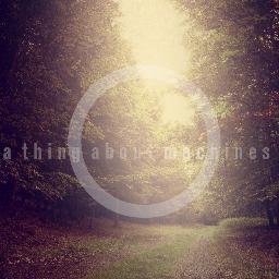 metal band from Macomb, Michigan. personal accounts: @farewells @tylermagi