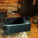 Wayne Lear - @wayne1998 - Twitter