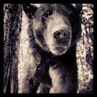 Alex Crende (@alex_crende) 's Twitter Profile