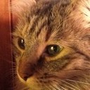 monique blanc - @zampanette - Twitter