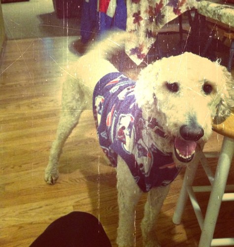 Optomniac's profile picture. Lover of well-written Twilight fanfics, football, NE Patriots, Scandal, Criminal Minds & peanut butter.  LOVE R&K... they are perfect for each other.