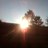 Alie_mcc's profile image