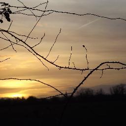 vieuxdjo's profile picture. 