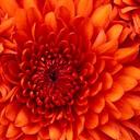 nery rivera - @nerrive - Twitter