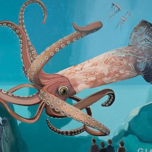 Average_Squid's profile picture. 