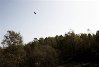 Go Ape Aberfoyle