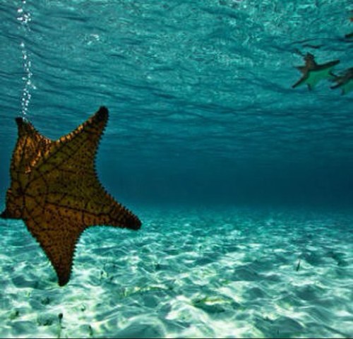 maha_77711's profile picture. لا أله الا انت سبحانك اني كنت من الظالمين )