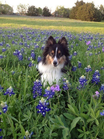 ellefraser353's profile picture. 