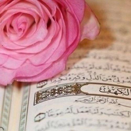 صلوا على حبيبنا