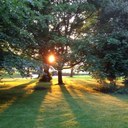 Lesley Gregory - @lesleyanngreg - Twitter