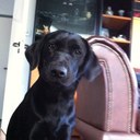 gerda muller - @gerdamuller55 - Twitter