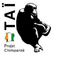 Taï Chimpanzee Project(@TaiChimpProject) 's Twitter Profile Photo