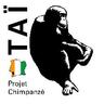 TaiChimpProject's profile picture. Research on and conservation of wild chimpanzees in the Taï National Park, Côte d'Ivoire, since 1979. Follow us: @taichimpproject.bsky.social