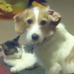 diva12324's profile picture. 