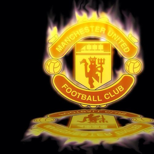 Manchester United fan