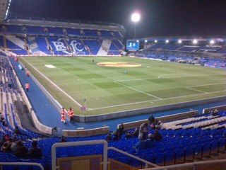 Blues fan . Kop corner block 19