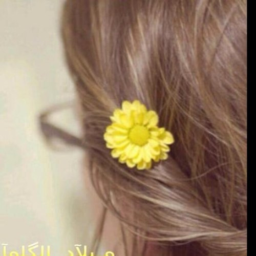 hhhz_z's profile picture. علمتني الحياة أن لا أتأخر في الإعتذار ممن أخطئت في حقهم , فربما لا يكونوا موجودين حينما أقرر الإعتذار منهمღღ