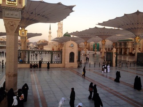 alnokaniy2012's profile picture. 